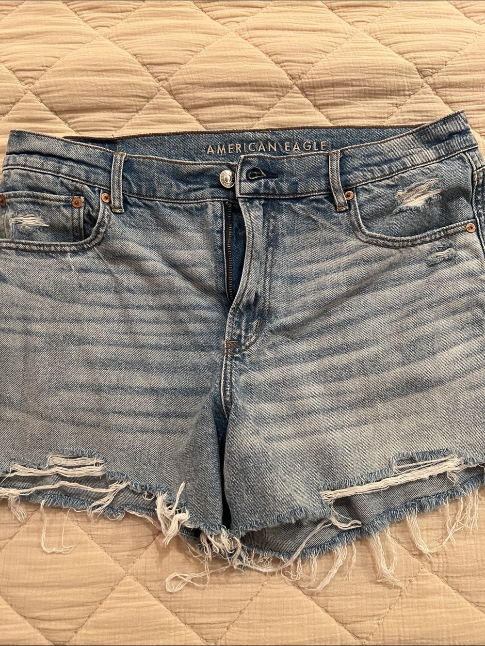 American Eagle Outfitters Light Blue Distressed Jean Shorts